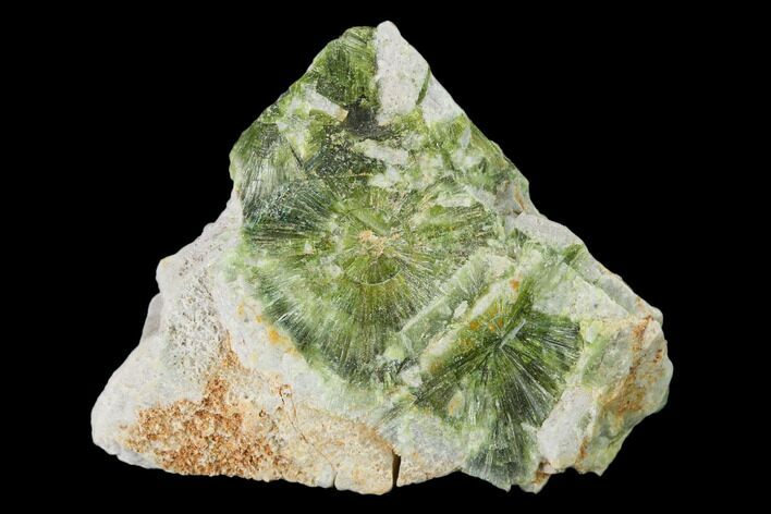 Radiating, Green Wavellite Crystal Aggregation - Arkansas #135971